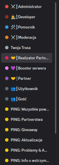 Szablon discordowy: TwojaTrasa.online - obrazek 3